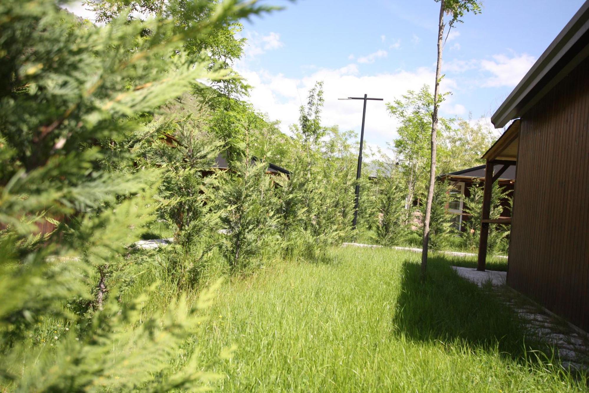 Lugina E Shengjergjit ,Bujtinat Villa ติรานา ภายนอก รูปภาพ